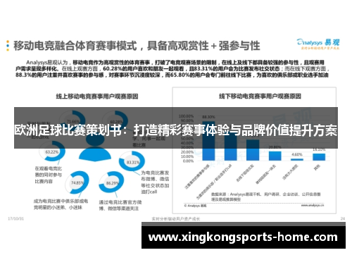 欧洲足球比赛策划书：打造精彩赛事体验与品牌价值提升方案